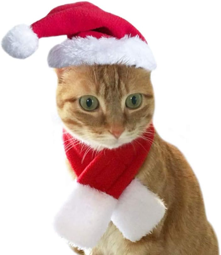 Kerstkostuum voor Katten en Kleine Honden – 4-delige Set met Rendierhoofdband, Rode Capuchon, Kerstmuts & Sjaal | Grappige Kerstkleding voor Huisdieren