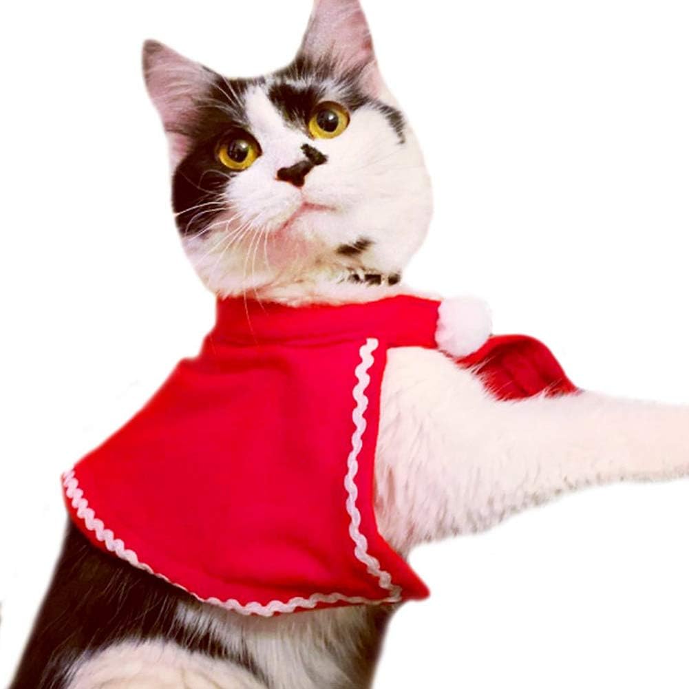 Kerstkostuum voor Katten en Kleine Honden – 4-delige Set met Rendierhoofdband, Rode Capuchon, Kerstmuts & Sjaal | Grappige Kerstkleding voor Huisdieren