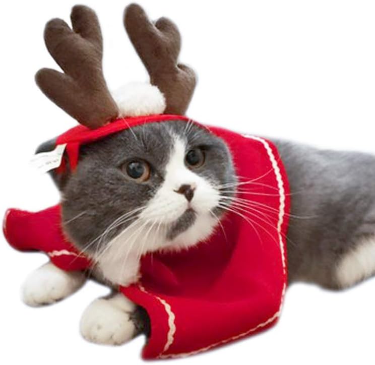 Kerstkostuum voor Katten en Kleine Honden – 4-delige Set met Rendierhoofdband, Rode Capuchon, Kerstmuts & Sjaal | Grappige Kerstkleding voor Huisdieren