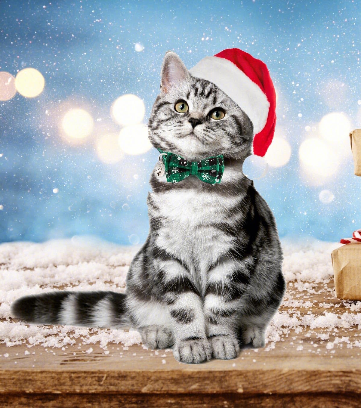 Set van 2 Kerst Kattenhalsbanden met Strik & Bel – Verstelbare Halsbanden met Kerstruitjes voor Katten, Kittens & Puppy’s