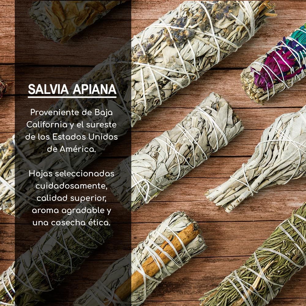 Set van 3 Bundels Witte Salie (Salvia Apiana) – 100% Natuurlijke Heilige Salie om te Branden | Reiniging, Zuivering & Spirituele Rituelen